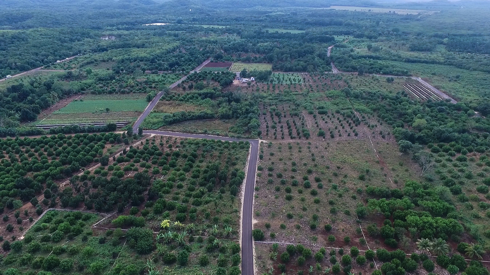 Proponen grupo colegiado de especialistas para atender litigio por Punto Put
